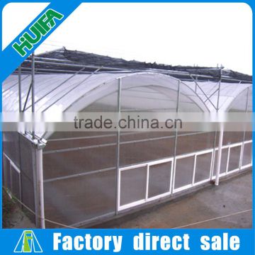 Agricultural Multi Span Plastic Greenhouse