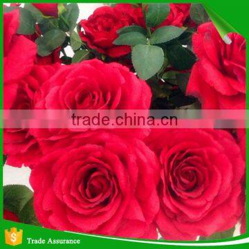 China Factory Direct Wholesale Decorative Artificial Rose Flower photo-3