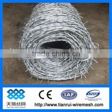 barbed wire / barbed wire fence