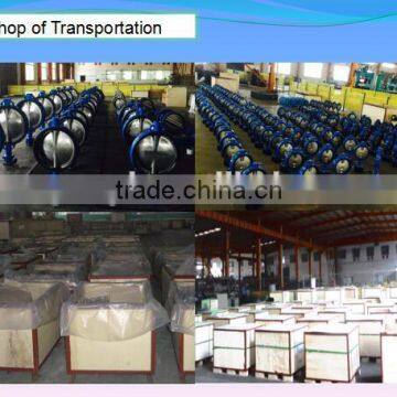 China OEM Investment Casting Valve Disc photo-6