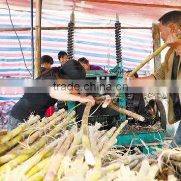 Electric Sugarcane Machine Commercial Sugarcane Juicer Sugarcane Extractor photo-6