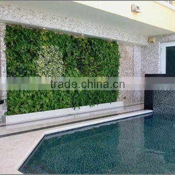 Artificial Green Plant Wall for Partition Wall Decoration photo-5
