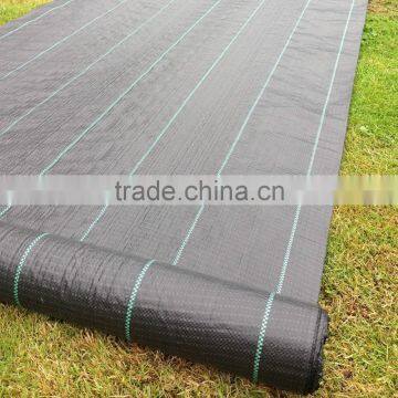 High Quality Black Plastic Ground Cover Roll photo-4