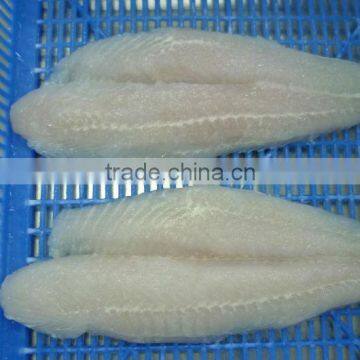 Well trimmed Pangasius fillet