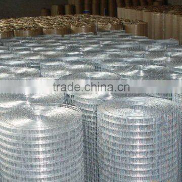 China Supplier Welded Wire Mesh photo-6