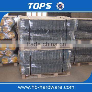 Cheap Green Chain Link Fence photo-6