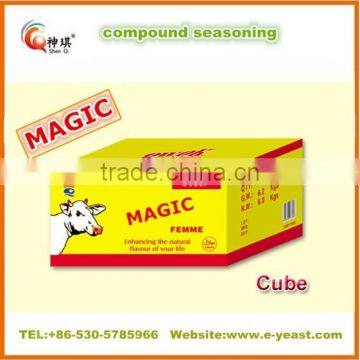 Muslim Seasoning Halal Beef Stock Cube photo-2