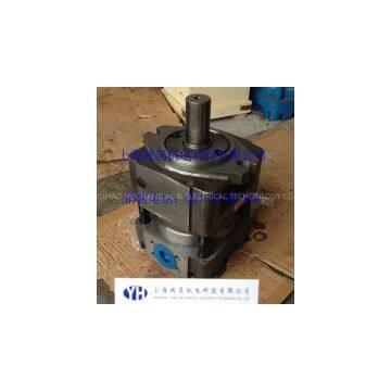 QT52-63-BP Internal Gear Pump photo-3