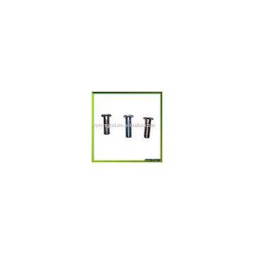 Nonstandard screw