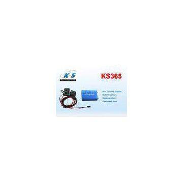 Simple Features Vehicle GPS Tracker Monitor Your Car In Real Time Tracking For Car Rental Company