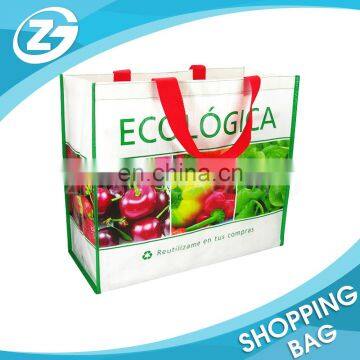 Woven Polypropylene Bags Wholesale Grocery Shopping Bags