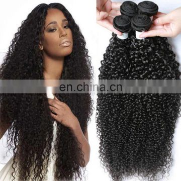 Factory Wholesale Virgin kinky Curly Hair Brazilian Human Hair bundles curly hair bundles