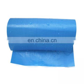 Hot sales waterproof Agricultural blue PE tarpaulin