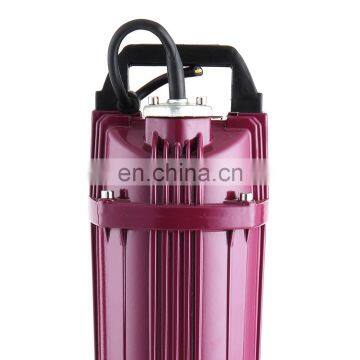 China 220v Electric Best Submersible Pumps Brands photo-4