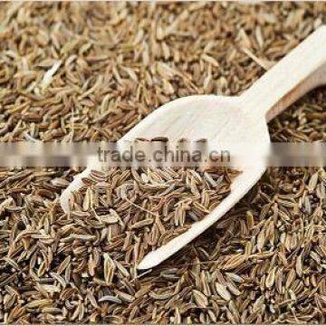 Indian Cumin Seed