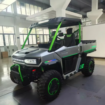 10 кВт электрический 4x4 сельскохозяйственный багги на 4 места, внедорожник с автоматической коробкой передач, сертифицированный по EEC для использования на открытом воздухе