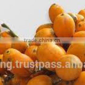 Betelnut Premium Quality photo-6