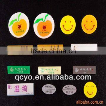 2013 Shenzhen best sell fashion magnets for name tags