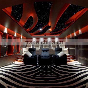 Luxury Cinema Carpet, Theater Carpet, Nylon Printed Carpet Factory