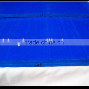 Nylon Sheet/Nylon Plate/PA6 Plate/plastic product