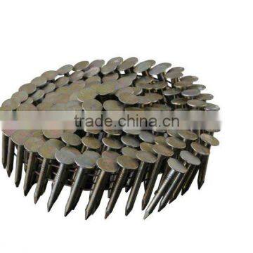 EG ROOFING COIL NAILS