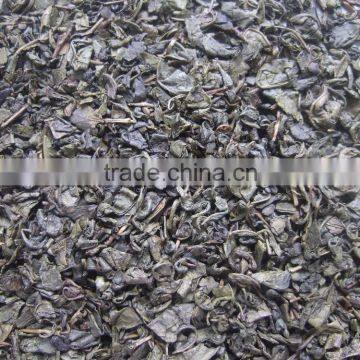 Factory Directly Provide China Supplier Gunpowder Green Tea 9175