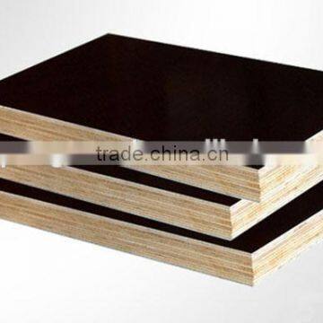 construction wood concrete formwork plywood/black film faced plywood