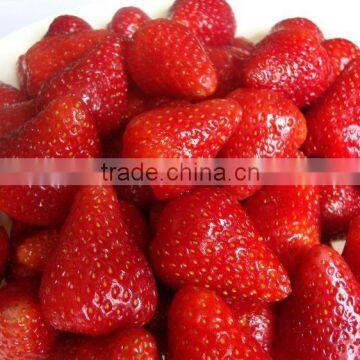 iqf American 13 strawberry and frozen strawberry with good price