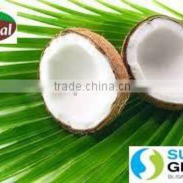 VIRGIN COCONUT OIL EXPORTER FROM INDIA