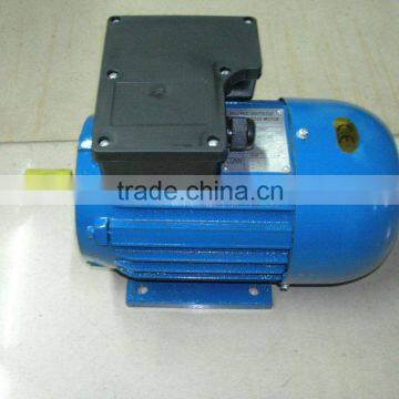 YL8024single phase two value capacitor asynchronous AC motor