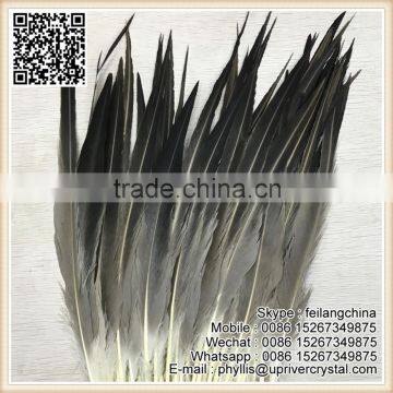 Factory Wholesale Fashion Accessories Eagle Feather