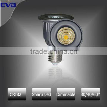 63*90mm 10w cob led par20 spotlight