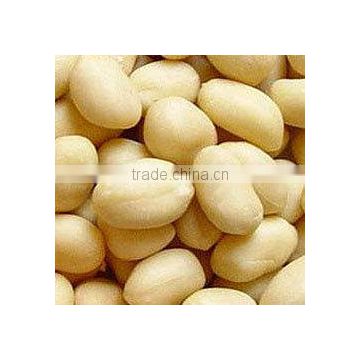 Blanched Java Peanuts