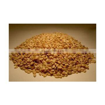 Gingelly, Til photo-4