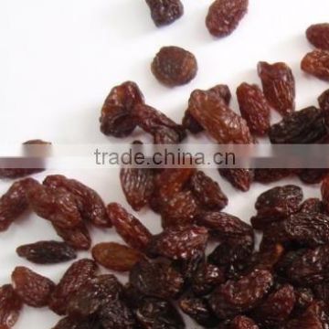 Dried Red Raisin