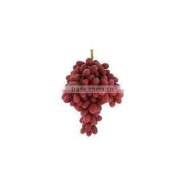 fresh crimson Grapes crops 2014