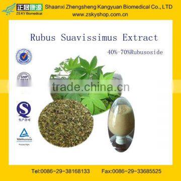 Factory Supply Sweet Tea Leaf Extract