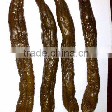 pickled cucumber