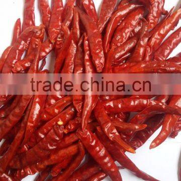 Exporters of Hot Teja Chilli