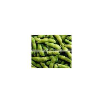 Hawthorn Berry Extract Powder