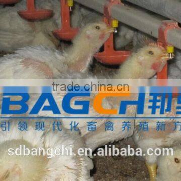 whole poultry automatic feeding line