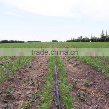 Trickle Irrigation Lines photo-5