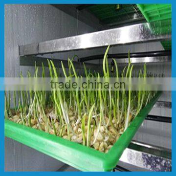 garlic sprout machine/ garlic sprouts growing machine