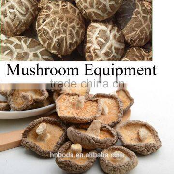 Mushroom Belt Drying Machine photo-2