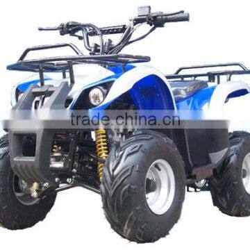 800W Brushless Motor / Shaft Elelctric Quad ATV 800W (TKE-A800-G) photo-5