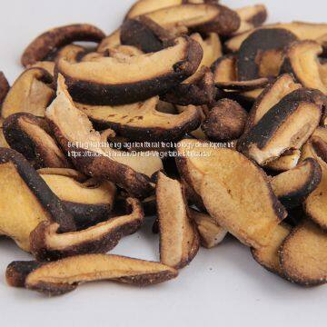 Чипсы из шампиньонов хяньгу / OEM-производство шампиньонов хяньгу photo-3