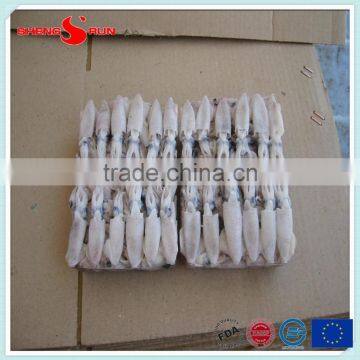 BQF Baby Squid Block Frozen photo-3