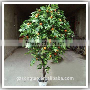 Realistic Mini Apple Plants Fresh Apple Fruits for Sale photo-4