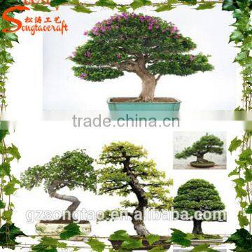 Wholesale Indoor Artificial Potted Decoration photo-6