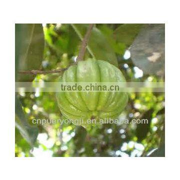 Natural Garcinia Cambogia Organic Fruit Extract